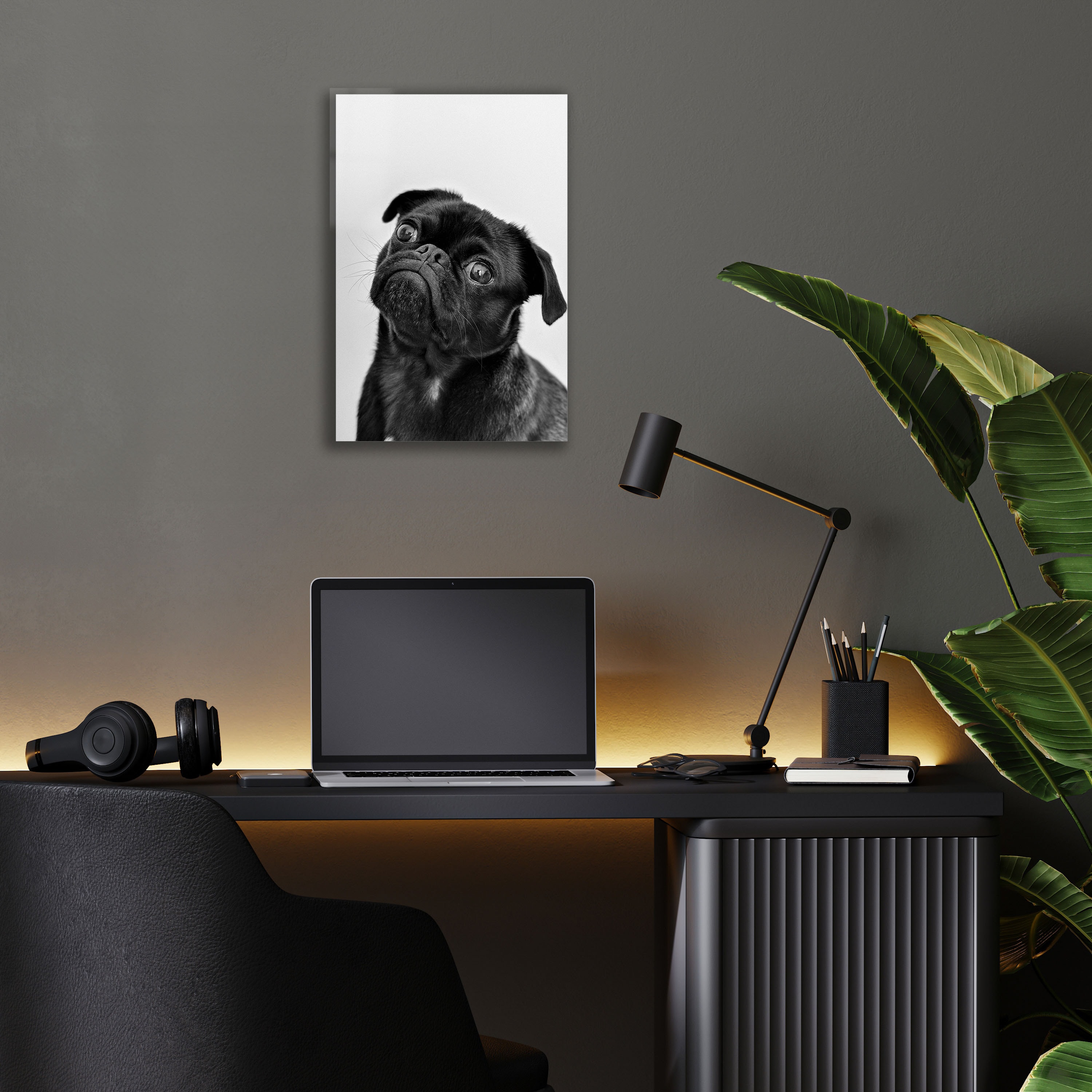 Siyah Pug'ın Portresi Cam Tablo